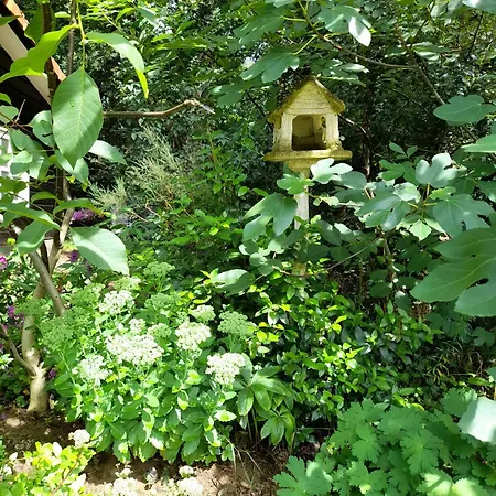 De Springop Chalet Eefde