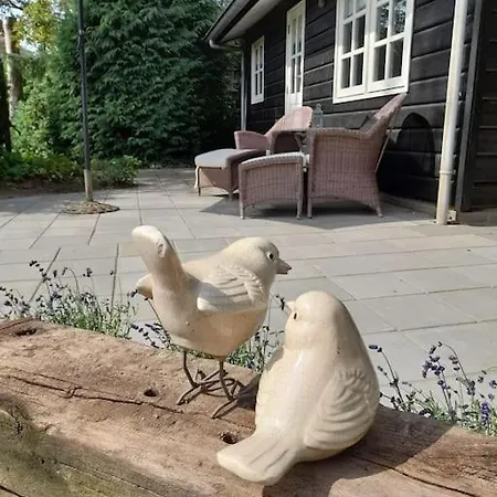 De Springop * Eefde