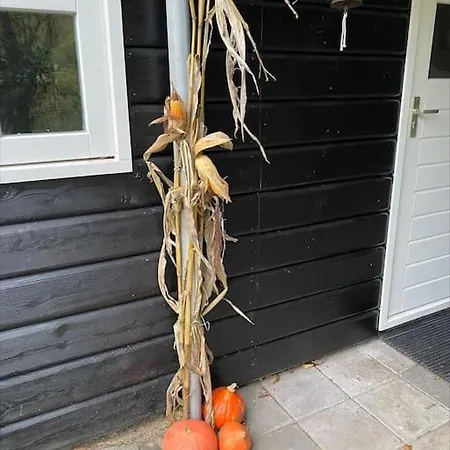 De Springop Eefde