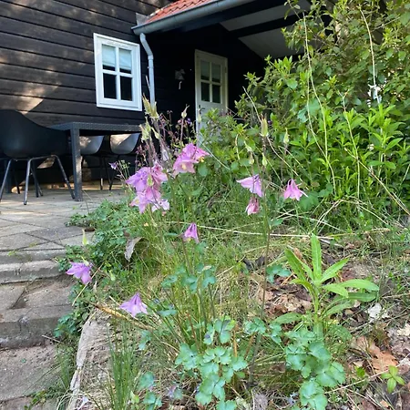 De Springop Chalet