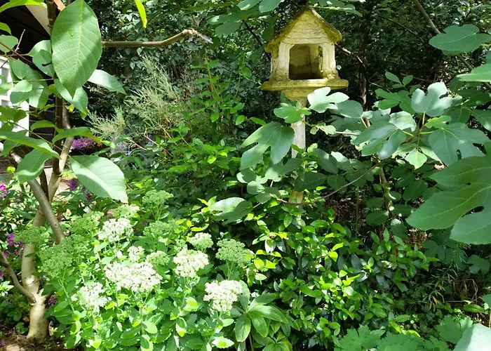 De Springop Domek alpejski Eefde