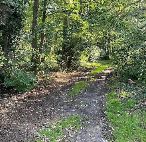 De Springop Domek alpejski