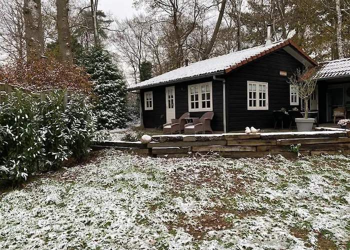 Alpstuga De Springop *