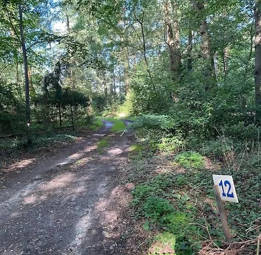 Domek alpejski De Springop Eefde