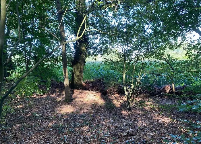 De Springop Domek alpejski *