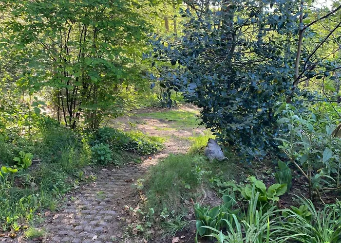 Domek alpejski De Springop *