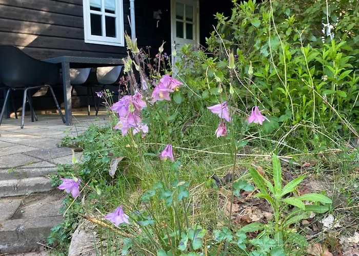 De Springop Alpstuga