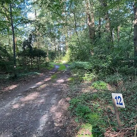 Σαλέ De Springop Eefde