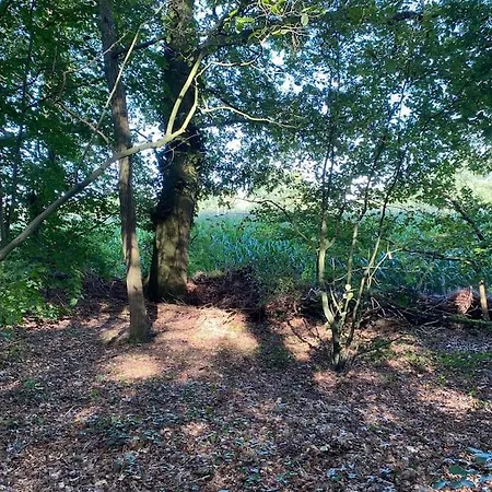 De Springop Σαλέ *