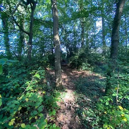 Σαλέ De Springop *