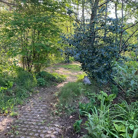 Σαλέ De Springop *